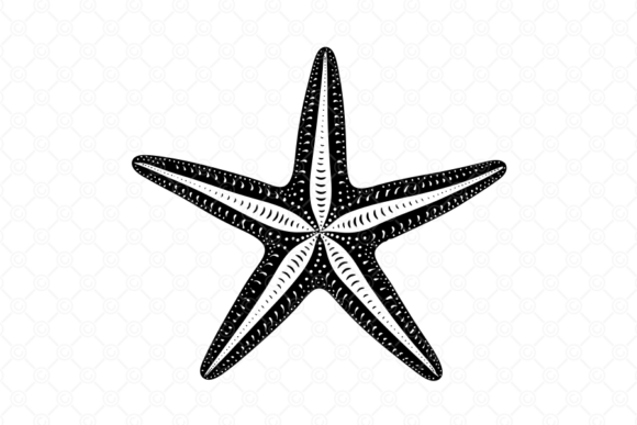 Starfish SVG: A Versatile Design Element for Creative and Commercial Projects
